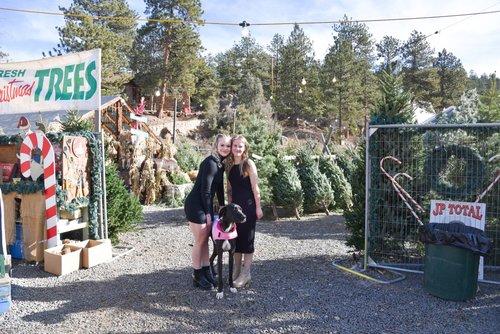 carousel-hero-element image-3